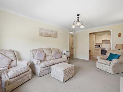 Picture 4